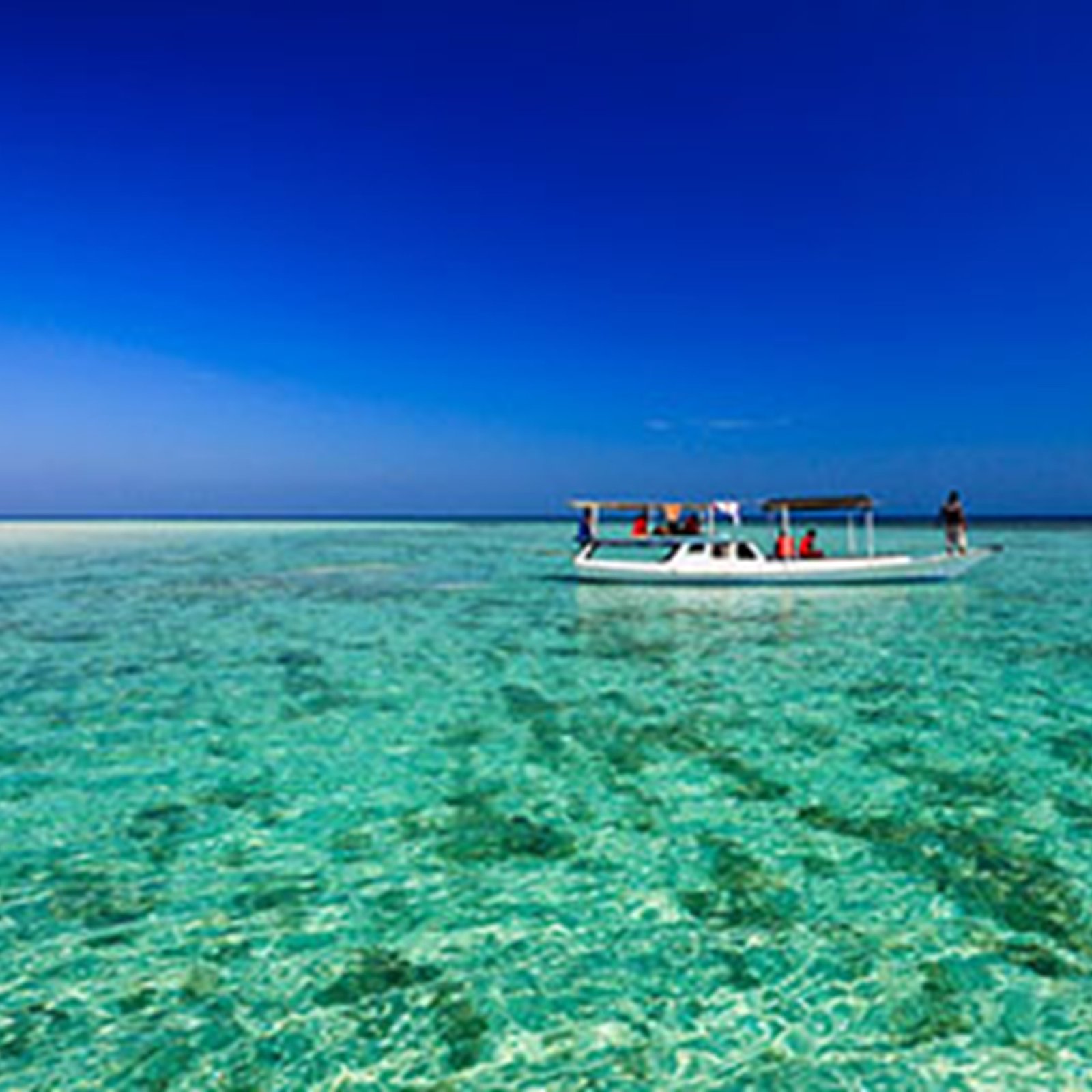 paket wisata Taman nasional karimunjawa