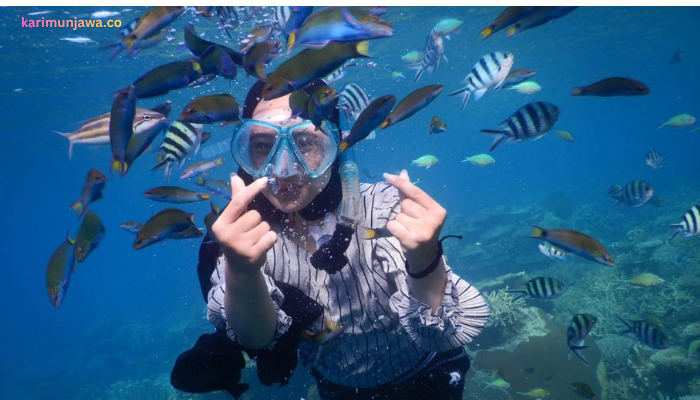 Paket Wisata Semarang - Karimunjawa 3 Hari 2 Malam | Kapal Cepat